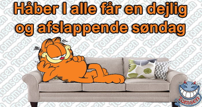 En afslappende søndag ⋆ Tomsen