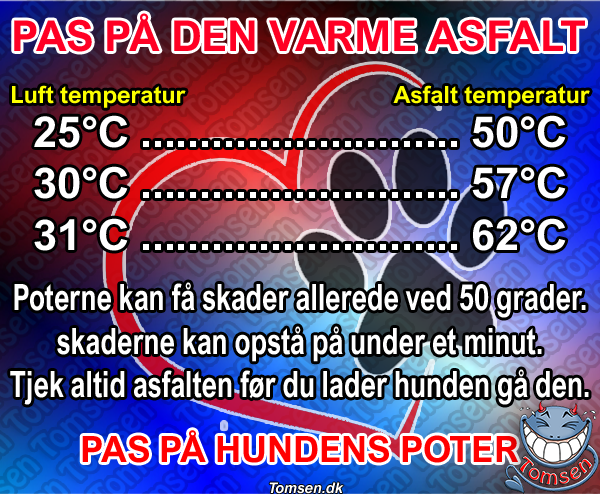 PAS PÅ HUNDENS POTER